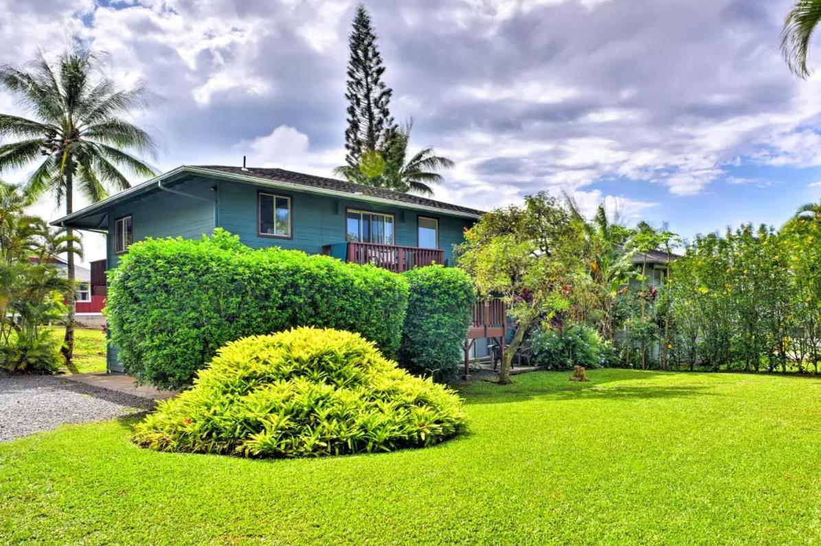 Yonegan Maui Getaways -