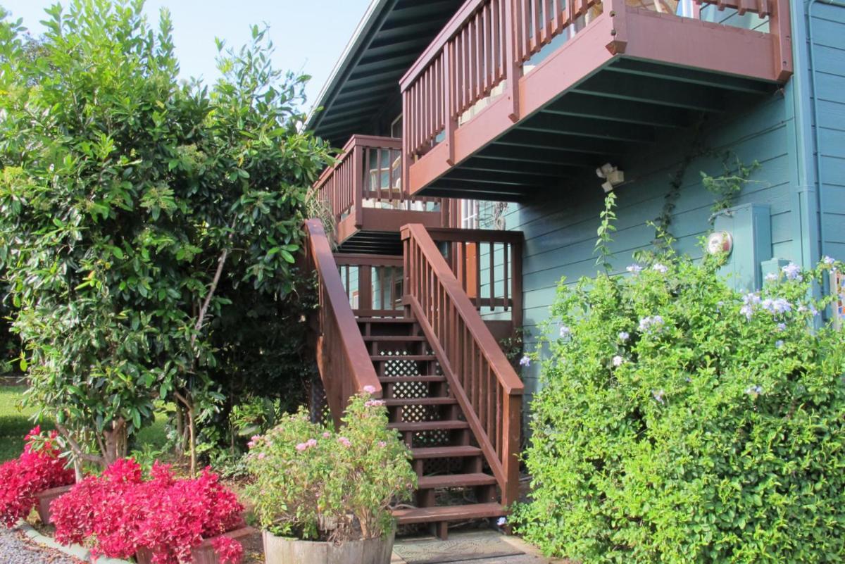 Yonegan Maui Getaways - Appartement Haiku